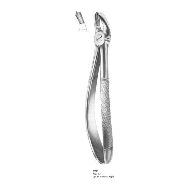 5-12-1.jpg Extracting Forceps - Image 1